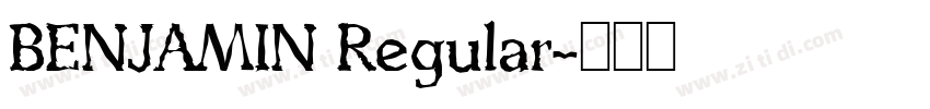 BENJAMIN Regular字体转换